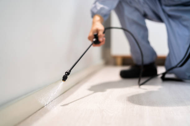 Licensed Cockroach Control service in Washington, DC - Nex Pest Control