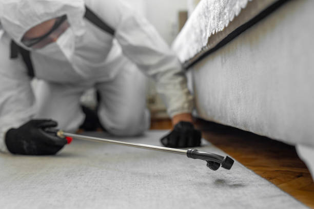 Professional Cockroach Control technician working in Washington, DC