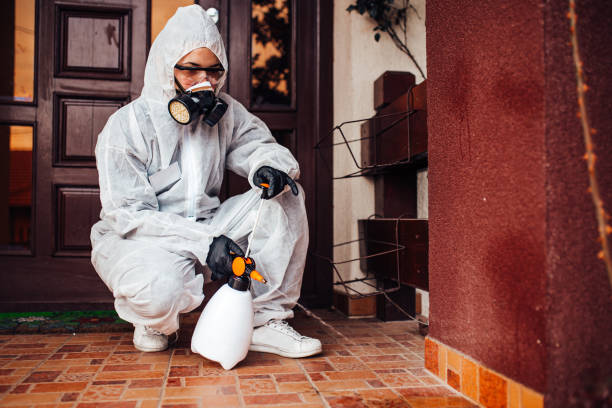 Reliable Cockroach Control contractor in Washington, DC by Nex Pest Control